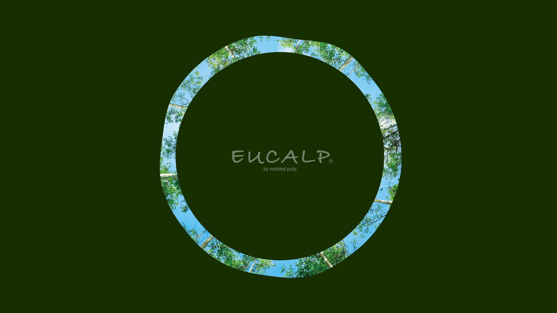 EUCALP by molded pulp